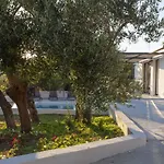 Olive Lounge House