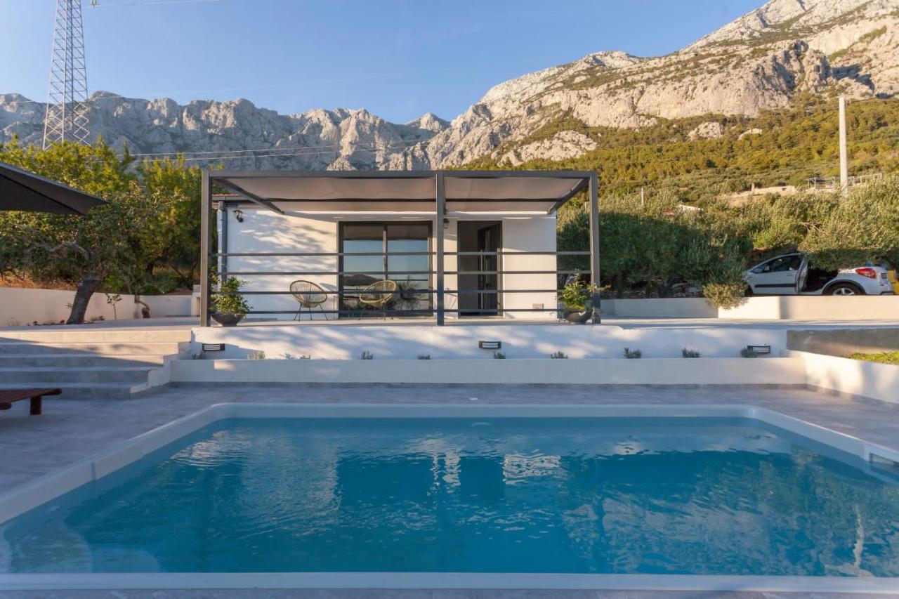 Počitniška hiša Olive Lounge House *