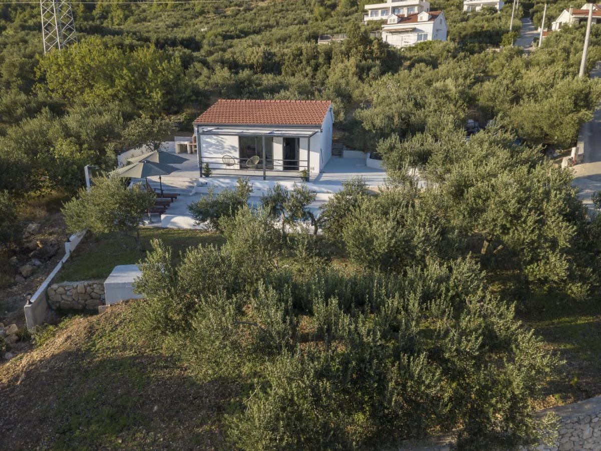 Počitniška hiša Olive Lounge House *