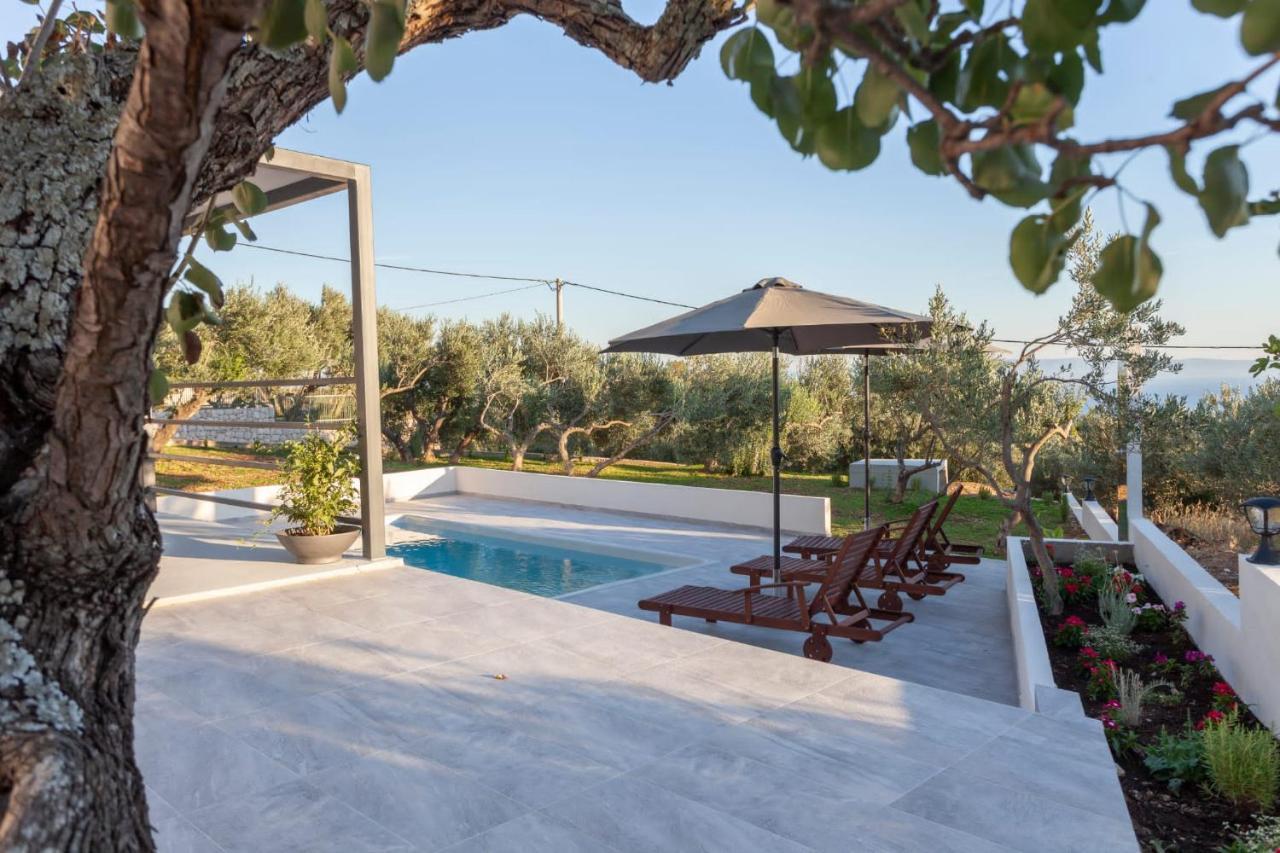 Olive Lounge House Počitniška hiša